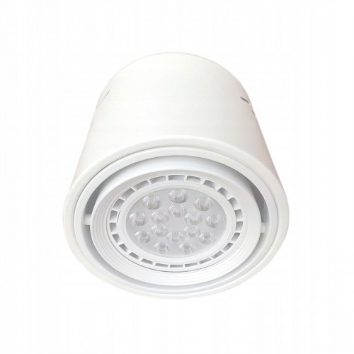 Lampa sufitowa tuba oprawa natynkowa Tubo white 1xAR111 biała