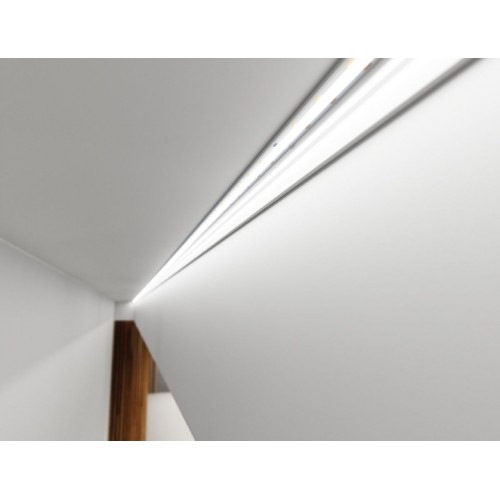 Taśma LED PRO 3Y 5050 SMD CCT 12W 300 LED 5 m