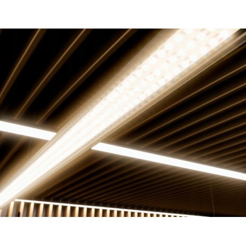 Taśma LED PRO 3Y 5050 SMD CCT 12W 300 LED 5 m