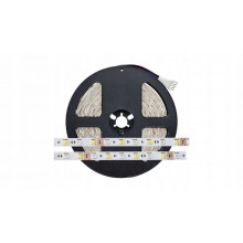 Taśma PREMIUM RGB+CCT 300LED/5m 12mm BC/BZ