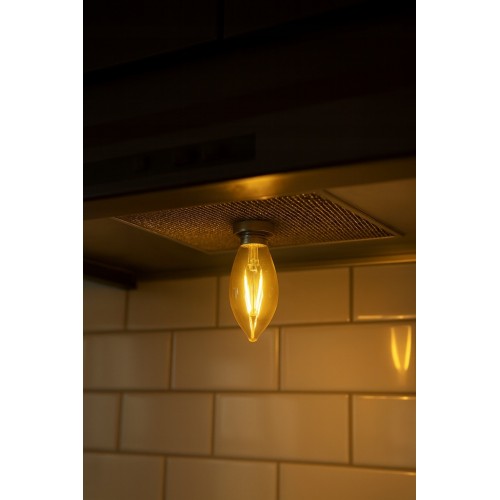 Żarówka wysokotemperaturowa soleo 40W B35 E14 230V