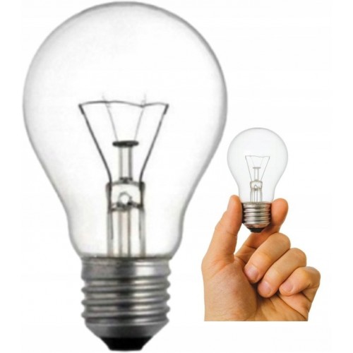 Żarówka 200W E27 A65 wysokotemperaturowa WST-2657