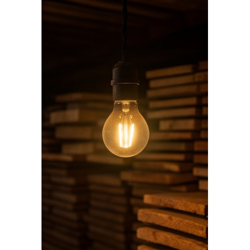 Żarówka wstrząsoodporna kulista E27 60W 630lm 2700K P45 Helios