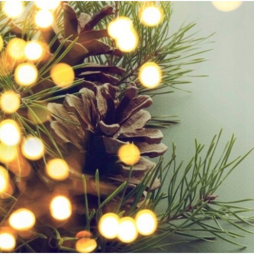 Lamki choinkowe 100 LED ciepły biały programator dodatkowe gniazdo