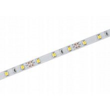 Taśma LED ECONOMIC 12V SMD2835 60 LED 2800-3200K